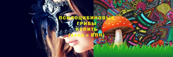 гидра Аркадак