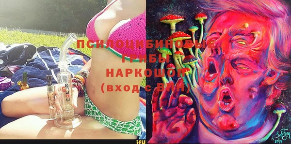 гидра Аркадак