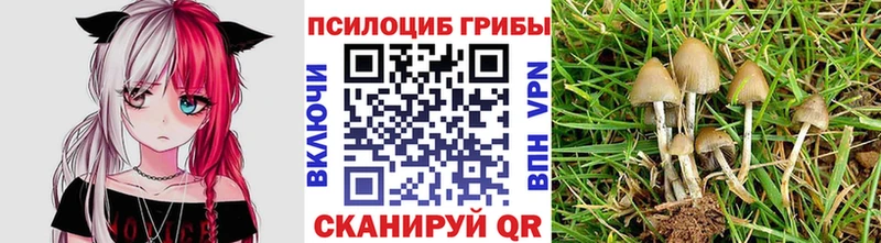 закладка  Лысьва  Галлюциногенные грибы GOLDEN TEACHER 